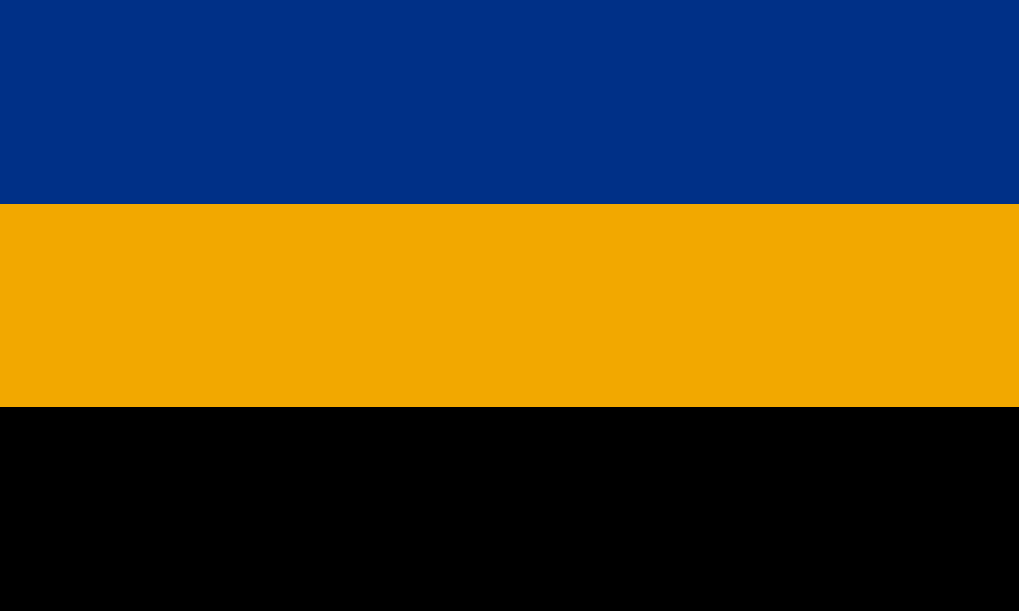 Official State Flag